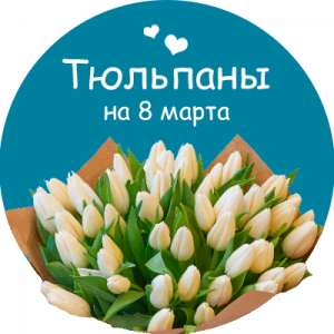 Купить тюльпаны в Покровске